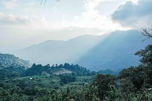 BIB: 
                            <button type="button" onclick="openModal(25651850)" class="btn btn-primary btn-sm float-right btn-popup" data-toggle="modal" data-target=".modal-high-quality">
                        <i class="fas fa-shopping-cart"></i> Add to Cart
                    </button>
                                            <button type="button" onclick="isThisMe(25651850, true)" class="btn btn-success btn-sm float-right btn-popup btn-isme hidden" data-toggle="tooltip" data-placement="bottom" title="นี่คือรูปของคุณใช่ไหม คลิกที่นี่เพื่อเอาเข้าอัลบั้ม">
                        <i class="fas fa-plus"></i> Add to album
                    </button>
                    <button type="button" onclick="isThisMe(25651850, false)" class="btn btn-warning btn-sm float-right btn-popup btn-isnotme hidden">
                        <i class="fas fa-ban"></i> Remove from album
                    </button>